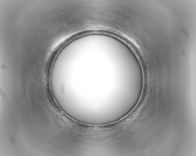 X0000090951311200708021053