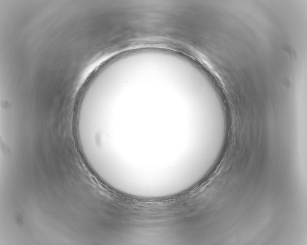 X0000090951312200708021053
