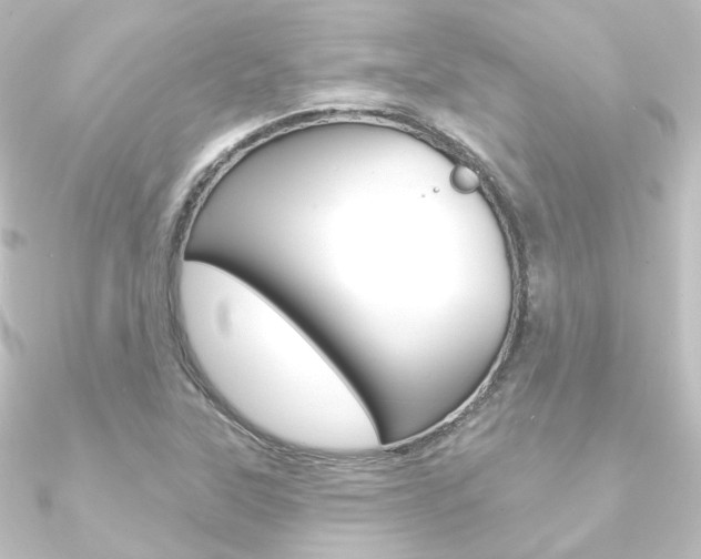 X0000090951315200708021053