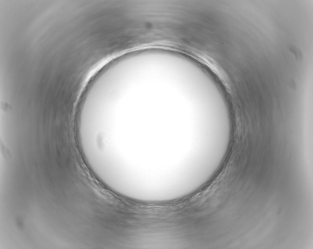 X0000090951316200708021053
