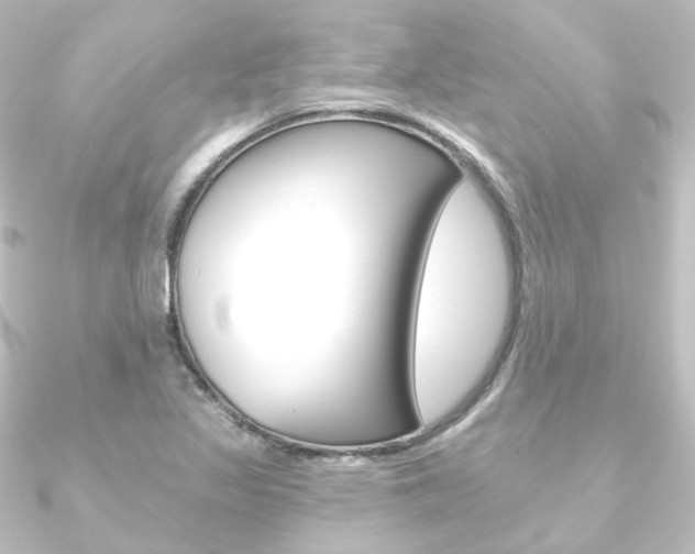 X0000090951317200708021053