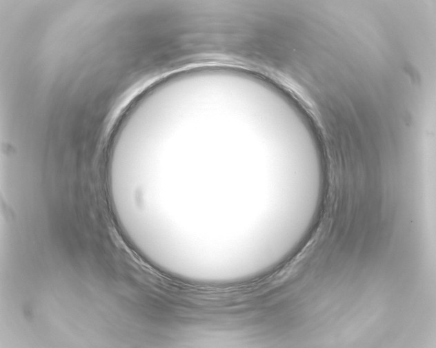 X0000090951318200708021053