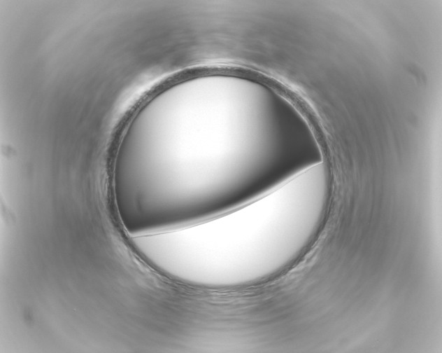X0000090951319200708021053