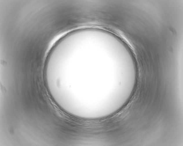X0000090951320200708021053