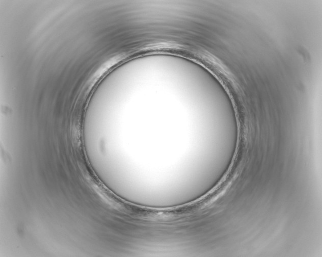X0000090951321200708021053