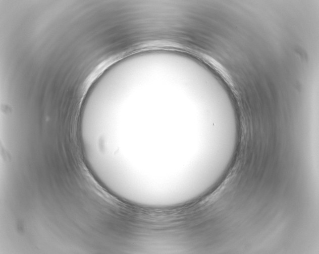 X0000090951322200708021053