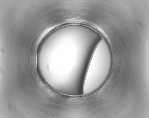 X0000090951323200708021053
