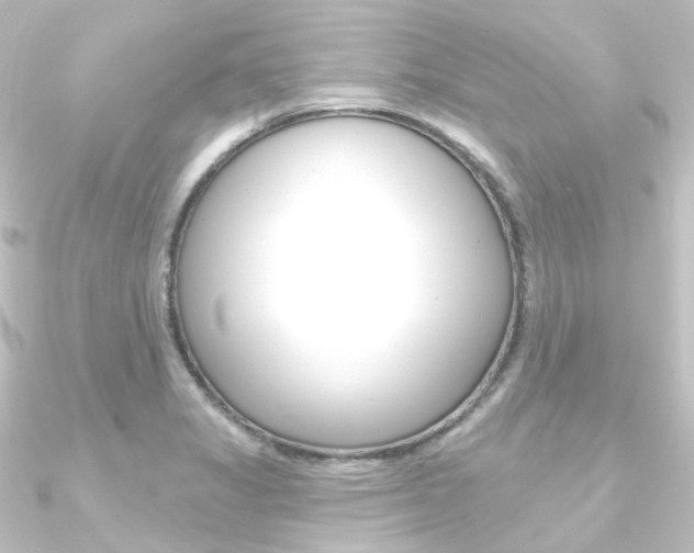 X0000090951325200708021053
