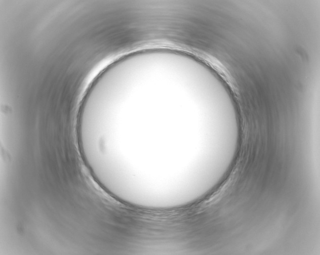 X0000090951326200708021053