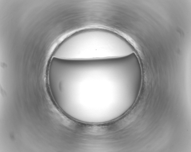 X0000090951327200708021053