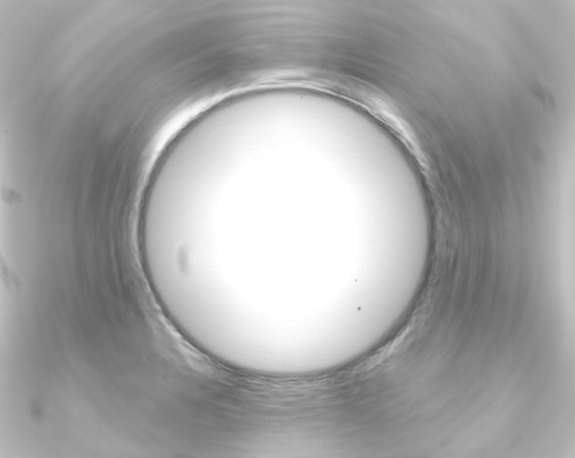 X0000090951328200708021053