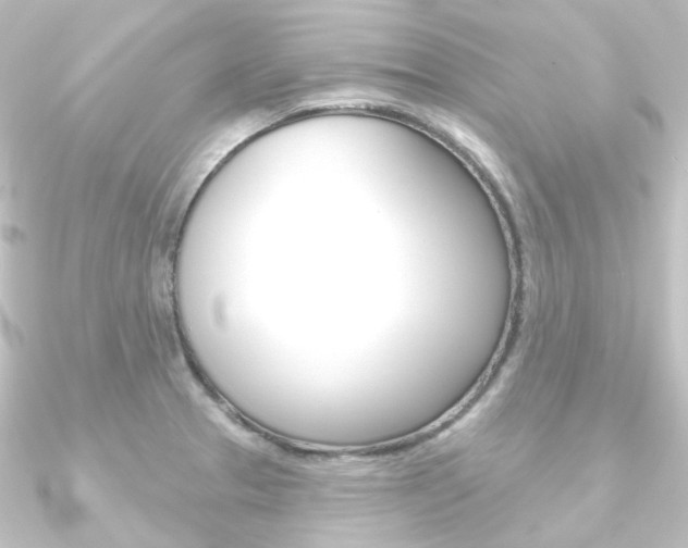 X0000090951329200708021053