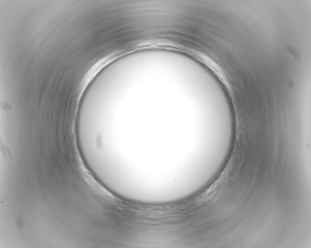 X0000090951330200708021053