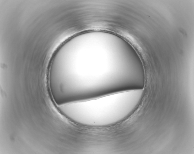 X0000090951331200708021053