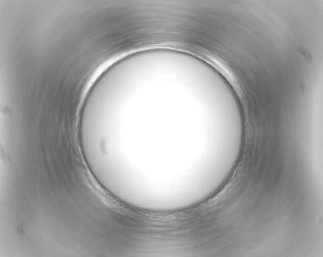 X0000090951332200708021053