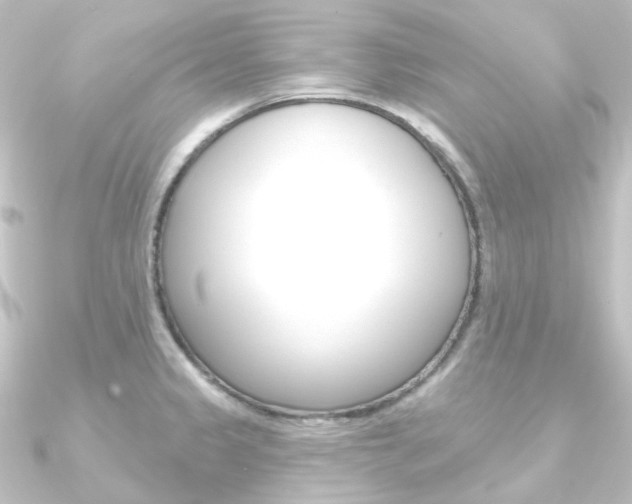 X0000090951333200708021053