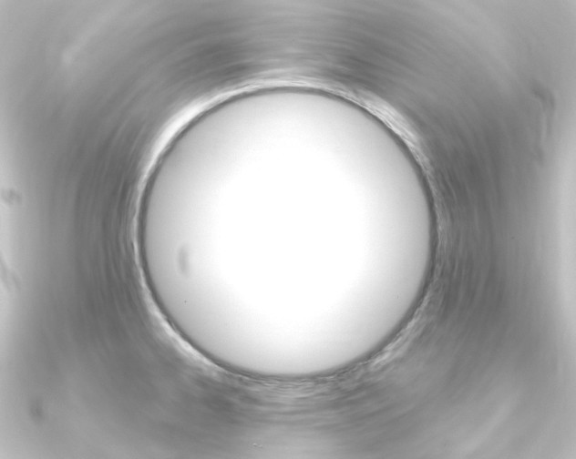 X0000090951334200708021053