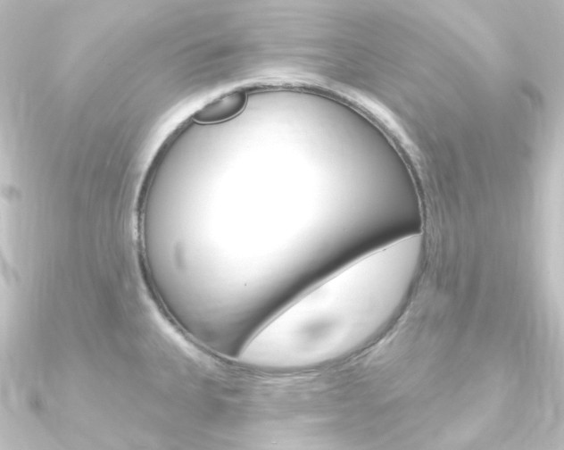 X0000090951335200708021053