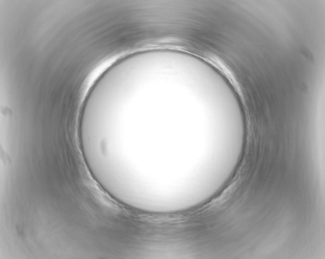 X0000090951336200708021053