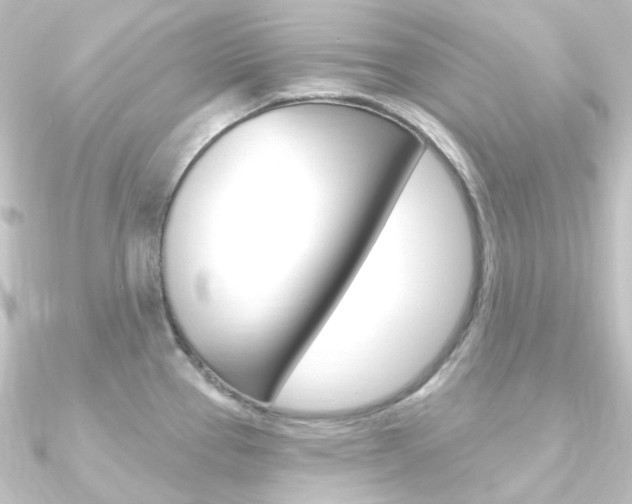 X0000090951337200708021053
