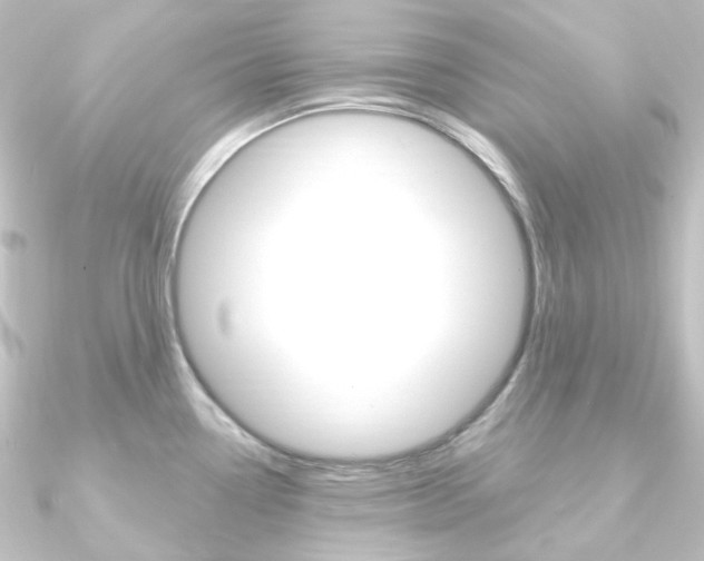 X0000090951338200708021053