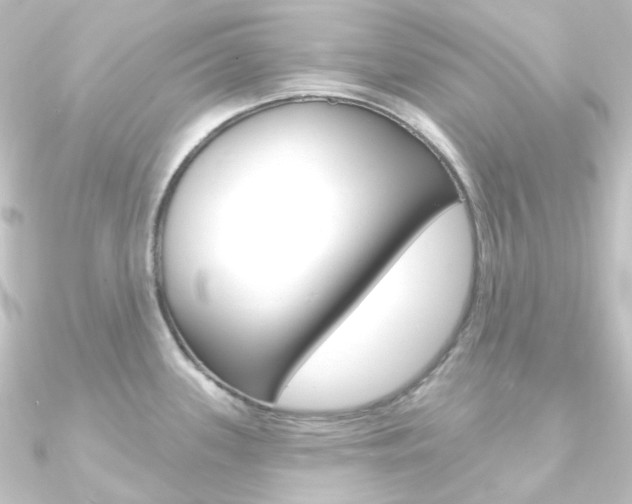 X0000090951339200708021053