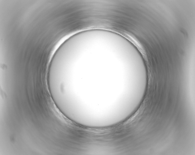 X0000090951340200708021053