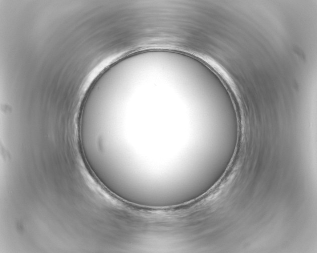 X0000090951341200708021053