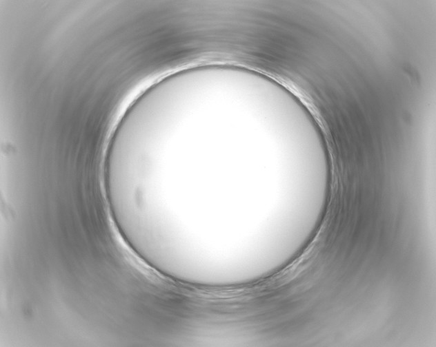 X0000090951342200708021053
