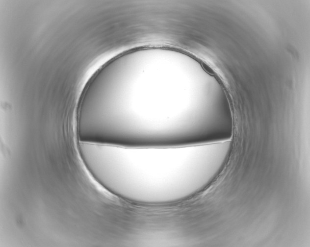 X0000090951343200708021053