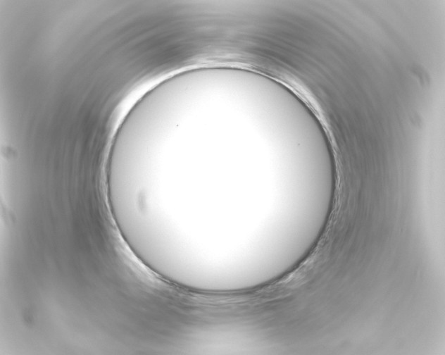X0000090951344200708021053