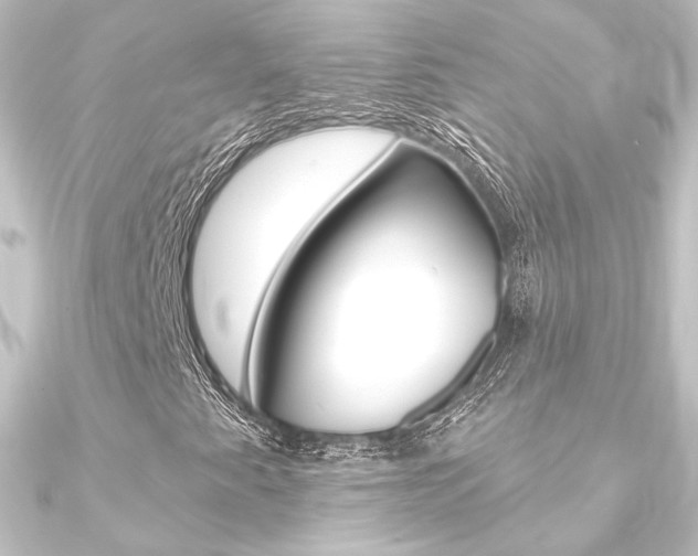 X0000090951345200708021053