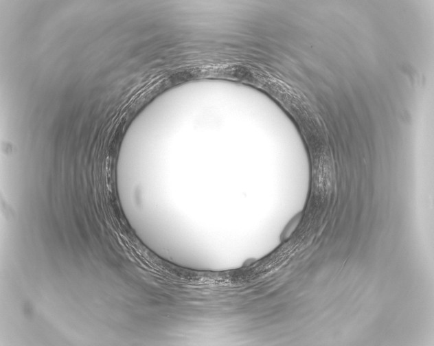 X0000090951346200708021053