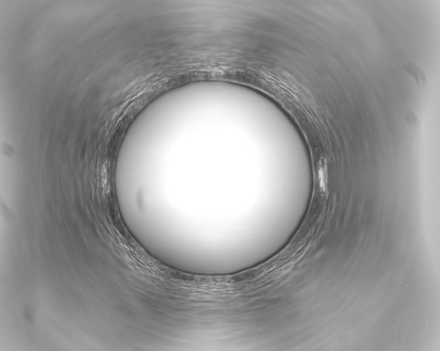 X0000090951347200708021053