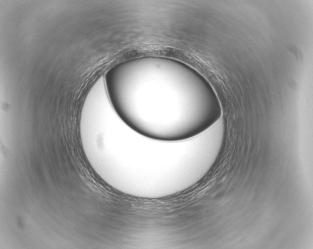 X0000090951348200708021053