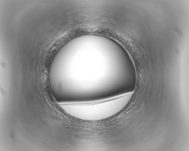 X0000090951349200708021053