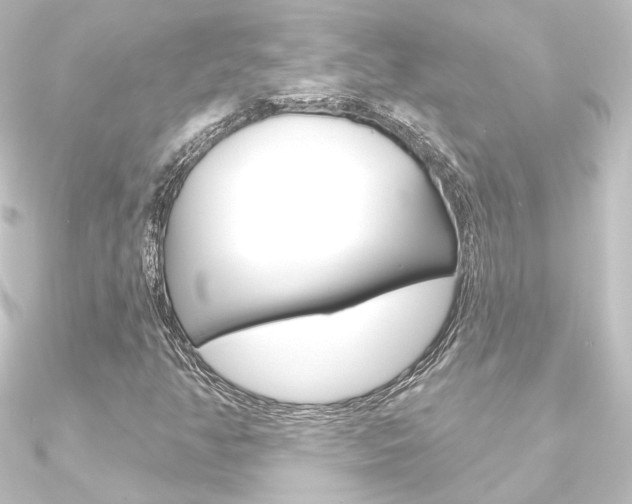 X0000090951350200708021052