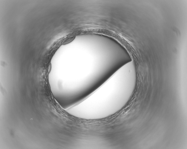 X0000090951351200708021052