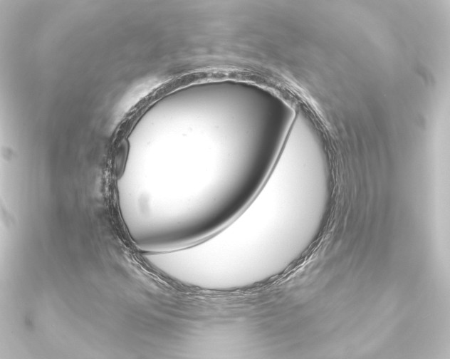 X0000090951352200708021052