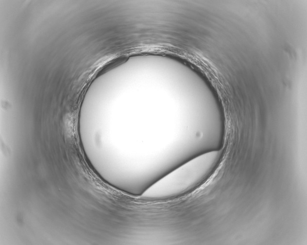 X0000090951353200708021052