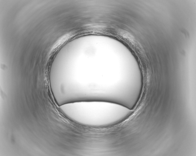 X0000090951354200708021052