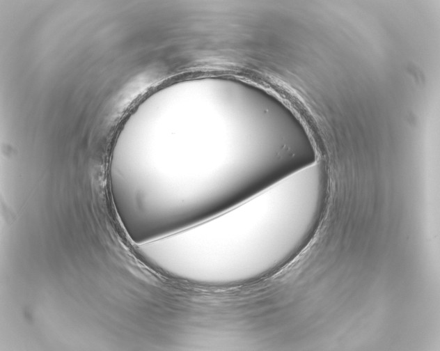 X0000090951355200708021052