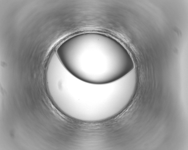 X0000090951356200708021052