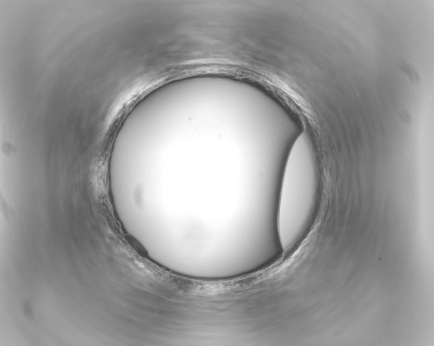 X0000090951357200708021052