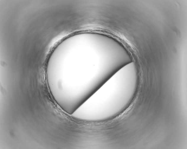 X0000090951358200708021052