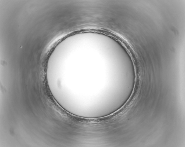 X0000090951359200708021052