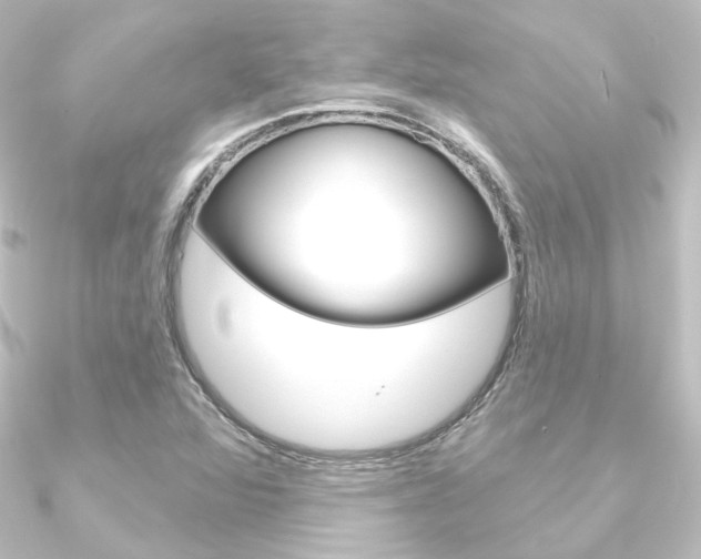 X0000090951360200708021052
