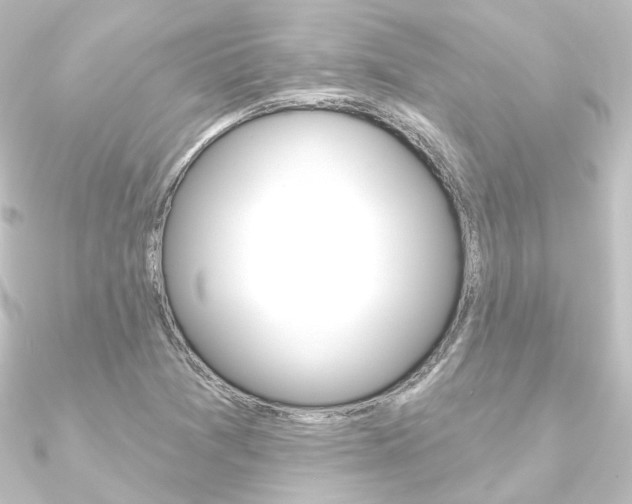X0000090951361200708021052