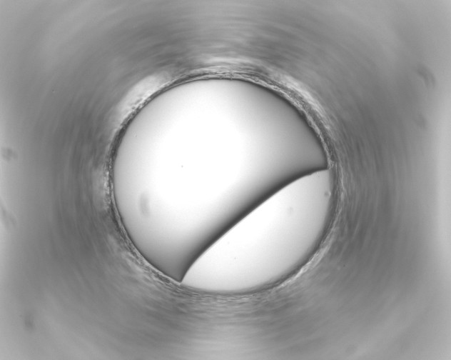 X0000090951362200708021052