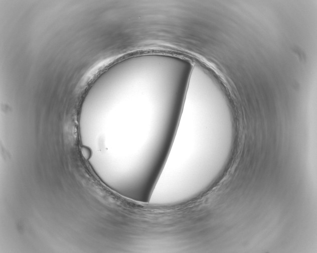 X0000090951363200708021052
